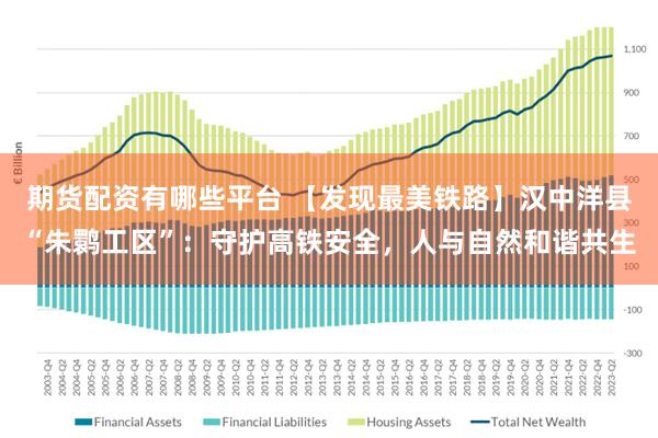 期货配资有哪些平台 【发现最美铁路】汉中洋县“朱鹮工区”：守护高铁安全，人与自然和谐共生