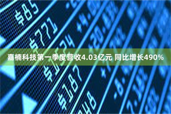 嘉楠科技第一季度营收4.03亿元 同比增长490%