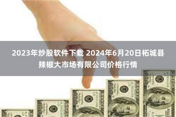 2023年炒股软件下载 2024年6月20日柘城县辣椒大市场有限公司价格行情