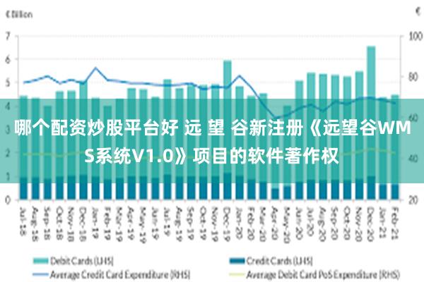 哪个配资炒股平台好 远 望 谷新注册《远望谷WMS系统V1.0》项目的软件著作权