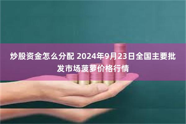 炒股资金怎么分配 2024年9月23日全国主要批发市场菠萝价格行情