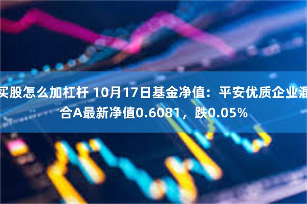 买股怎么加杠杆 10月17日基金净值：平安优质企业混合A最新净值0.6081，跌0.05%