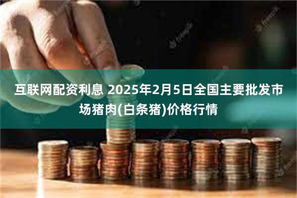 互联网配资利息 2025年2月5日全国主要批发市场猪肉(白条猪)价格行情