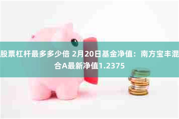 股票杠杆最多多少倍 2月20日基金净值：南方宝丰混合A最新净值1.2375